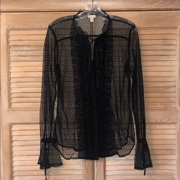 Hinge Sheer & Romantic Button Down Blouse - Picture 1 of 4